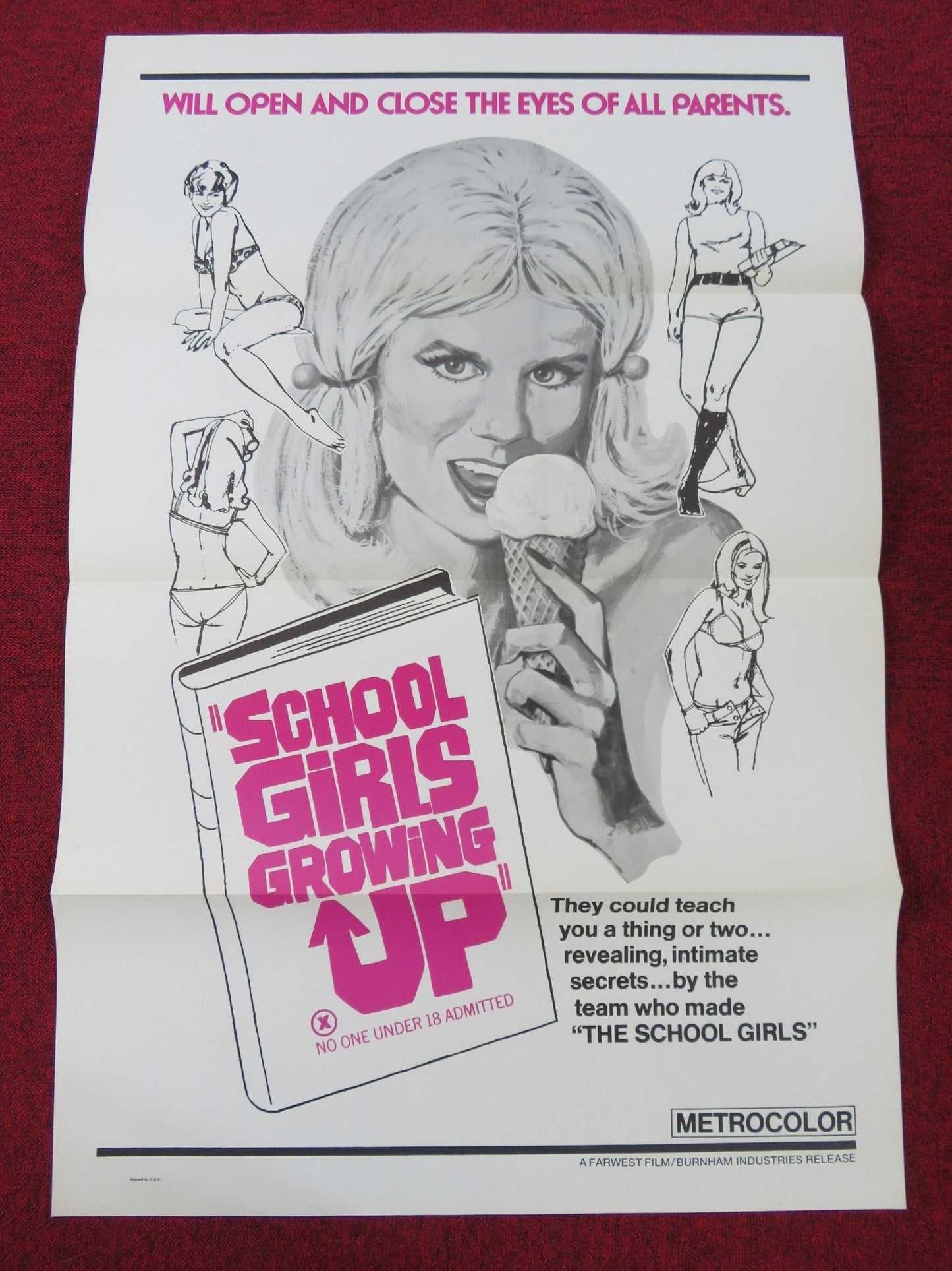 SCHOOL GIRLS GROWING UP US TRI FOLDED ONE SHEET ROLLED POSTER CLAUDIA HOLL 1972 Rendezvous Cinema Movie posters
