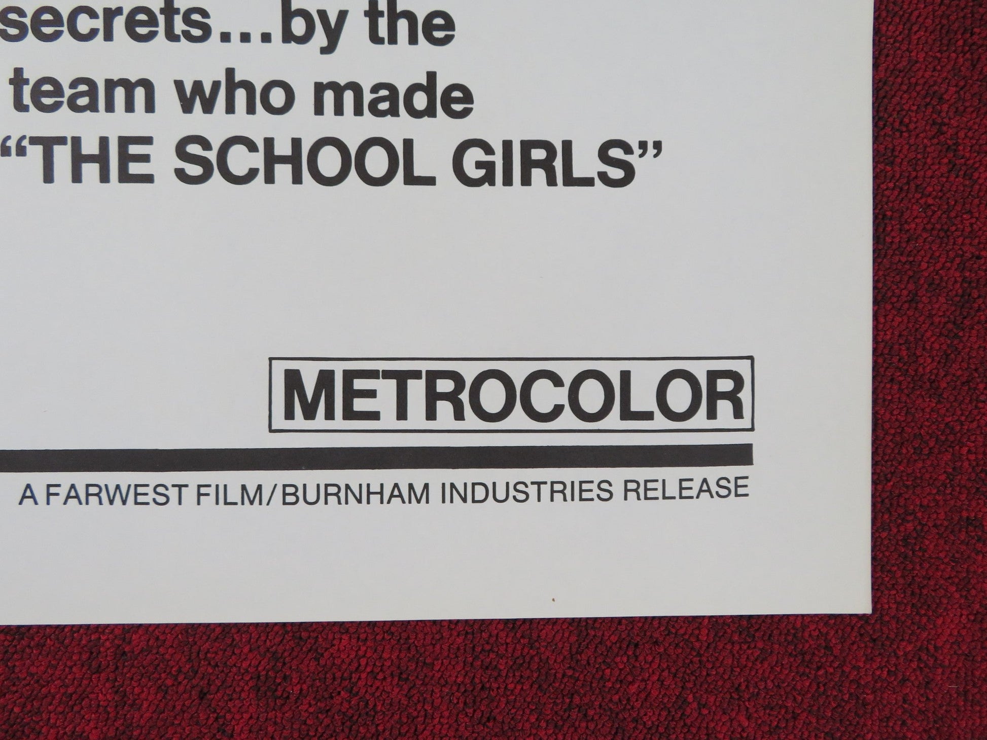 SCHOOL GIRLS GROWING UP US TRI FOLDED ONE SHEET ROLLED POSTER CLAUDIA HOLL 1972 Rendezvous Cinema Movie posters