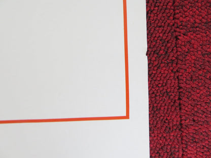 SCIMMIE COME NOI ITALIAN LOCANDINA POSTER MATT HILL SALLY ANN MARSH 1999 Rendezvous Cinema Movie posters