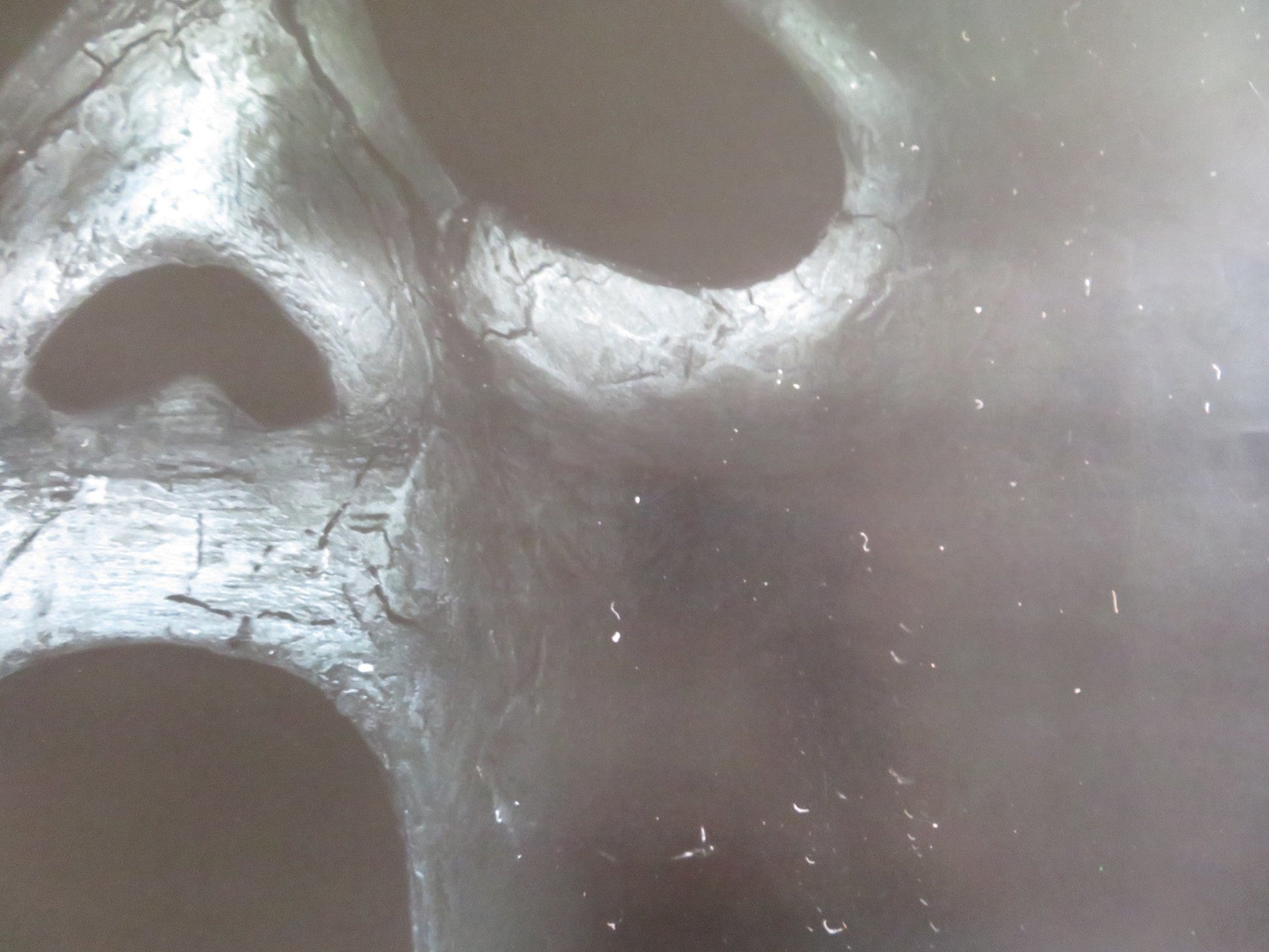 SCREAM VI UK ONE SHEET ROLLED POSTER COURTNEY COX JENNA ORTEGA 2023 Rendezvous Cinema Movie posters