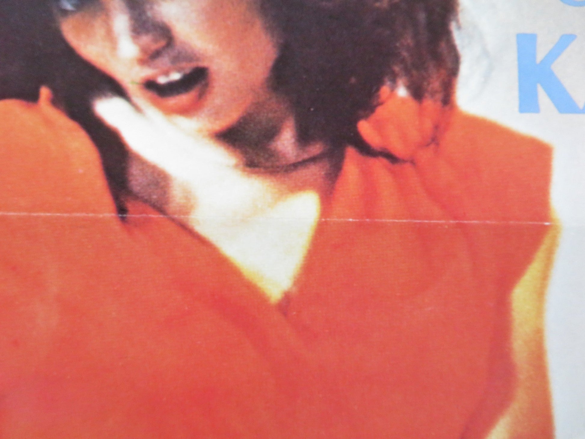 SCREWPLES US TRI FOLDED ONE SHEET ROLLED POSTER KANDI BARBOUR SERENA 1979 Rendezvous Cinema Movie posters