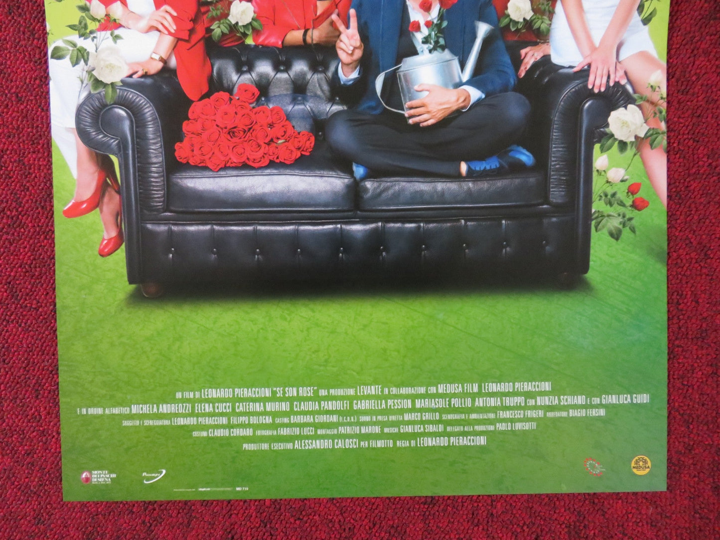 SE SON ROSE ITALIAN LOCANDINA POSTER LEONARDO PIERACCIONI 2018 Rendezvous Cinema Movie posters