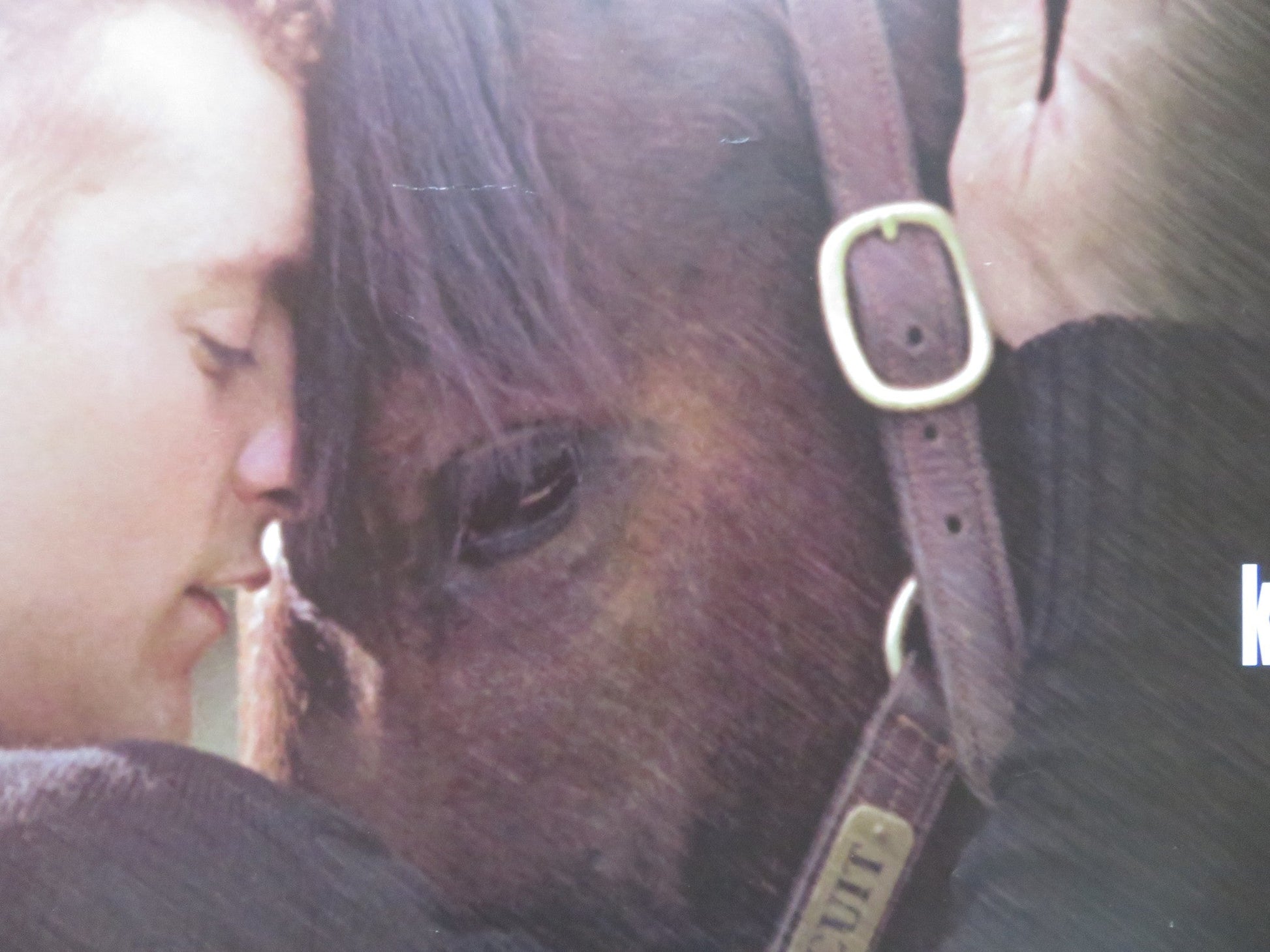 SEABISCUIT UK QUAD (30"x 40") ROLLED POSTER JEFF BRIDGES TOBEY MAGUIRE 2003 Rendezvous Cinema Movie posters