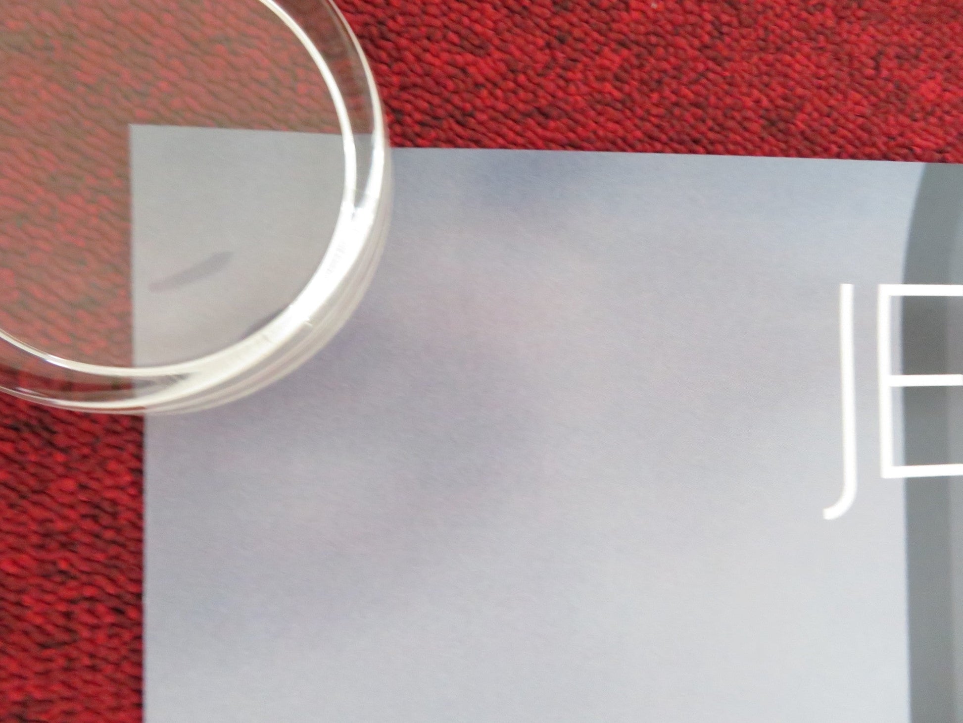 SECOND ACT US ONE SHEET ROLLED POSTER JENNIFER LOPEZ 2018 Rendezvous Cinema Movie posters