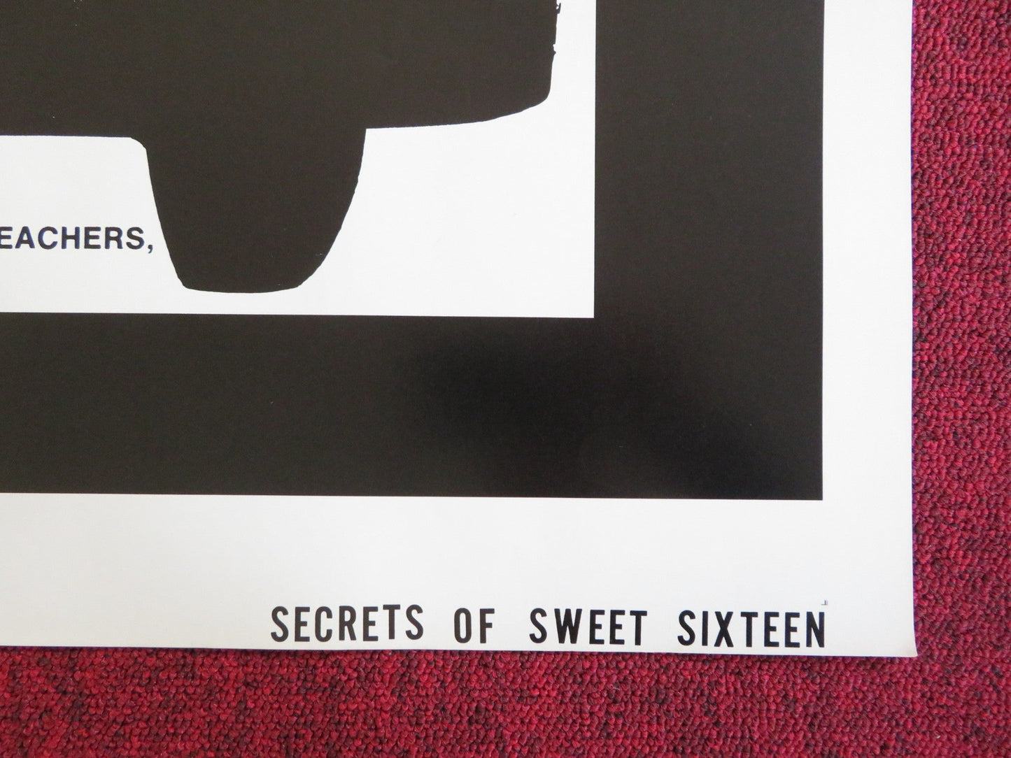 SECRETS OF SWEET SIXTEEN US TRI FOLDED ONE SHEET ROLLED POSTER W. HESS 1973 Rendezvous Cinema Movie posters
