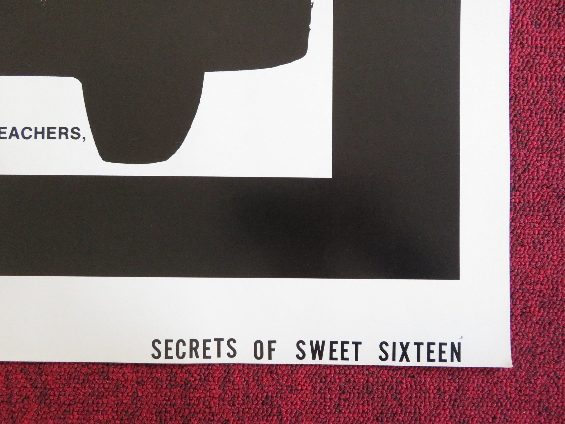 SECRETS OF SWEET SIXTEEN US TRI FOLDED ONE SHEET ROLLED POSTER W. HESS 1973 Rendezvous Cinema Movie posters