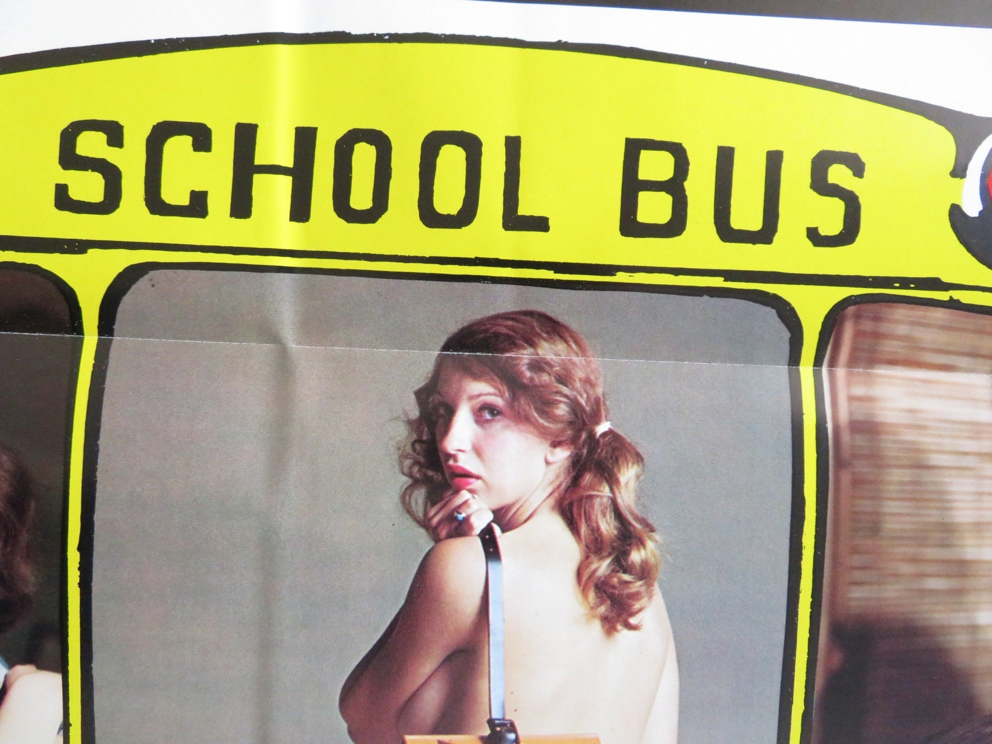 SECRETS OF SWEET SIXTEEN US TRI FOLDED ONE SHEET ROLLED POSTER W. HESS 1973 Rendezvous Cinema Movie posters