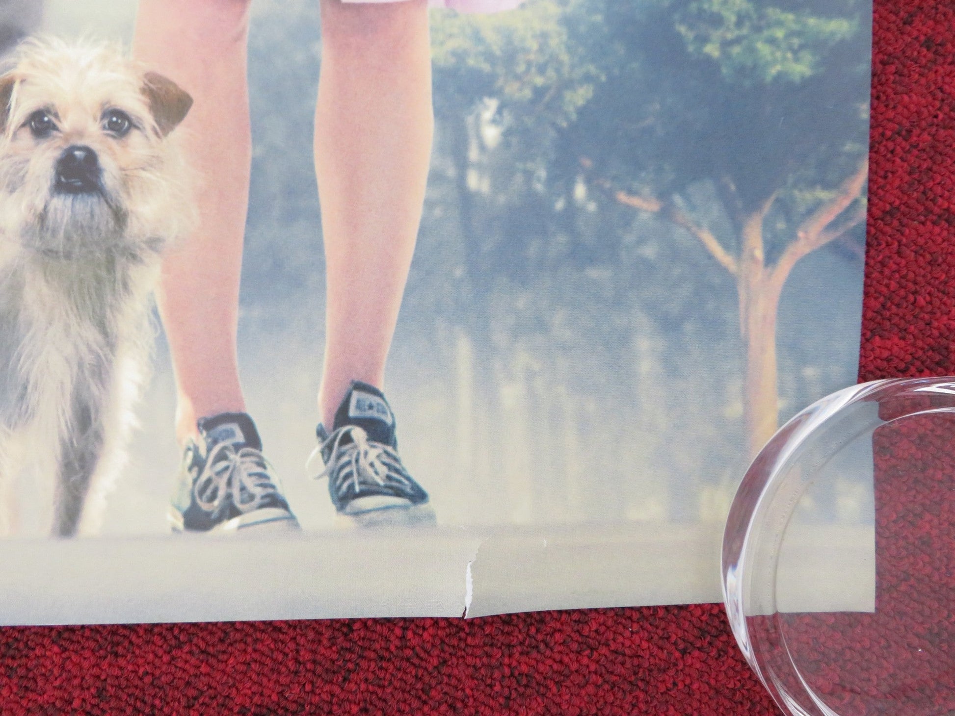 SEEKING A FRIENDS FOR THE END OF THE WORLD UK QUAD (30"x 40") ROLLED POSTER 2012 Rendezvous Cinema Movie posters