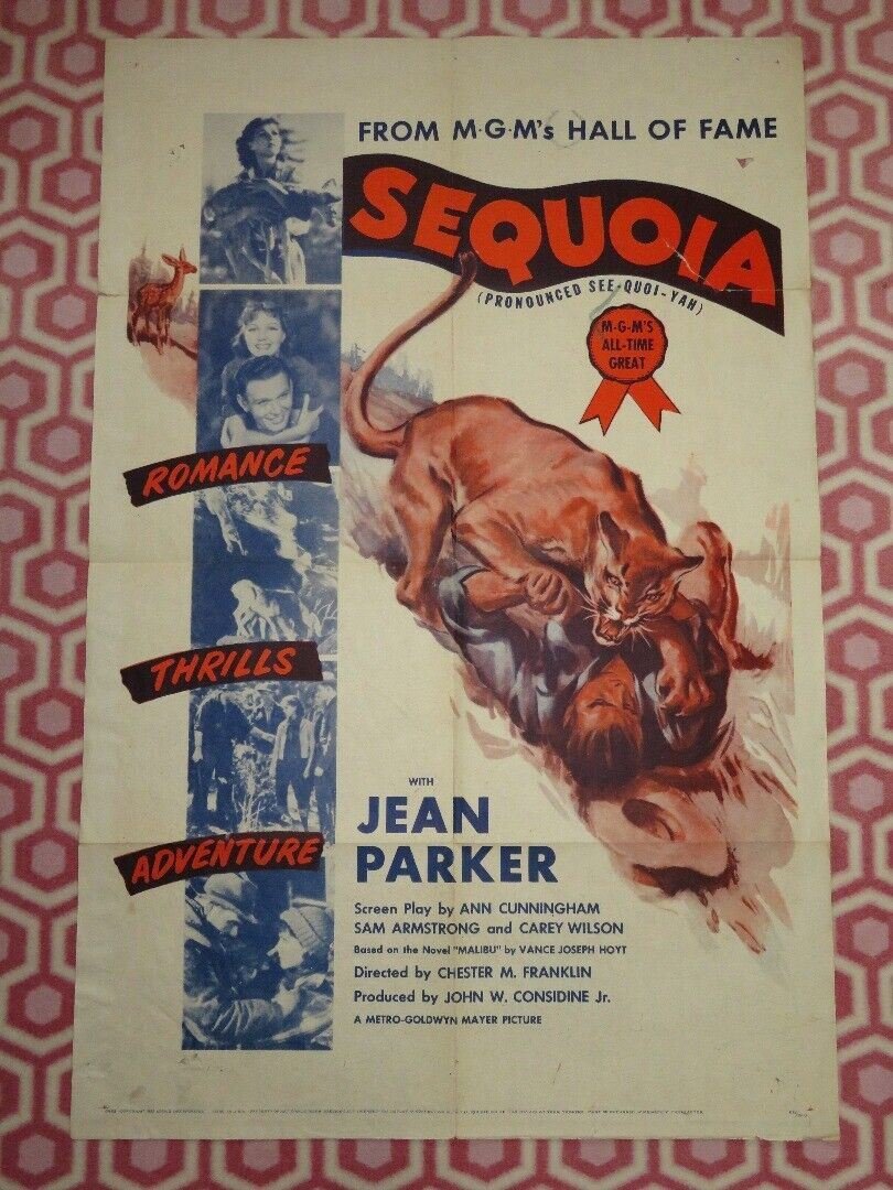 SEQUOIA FOLDED US ONE SHEET POSTER JEAN PARKER 1934 Movie posters