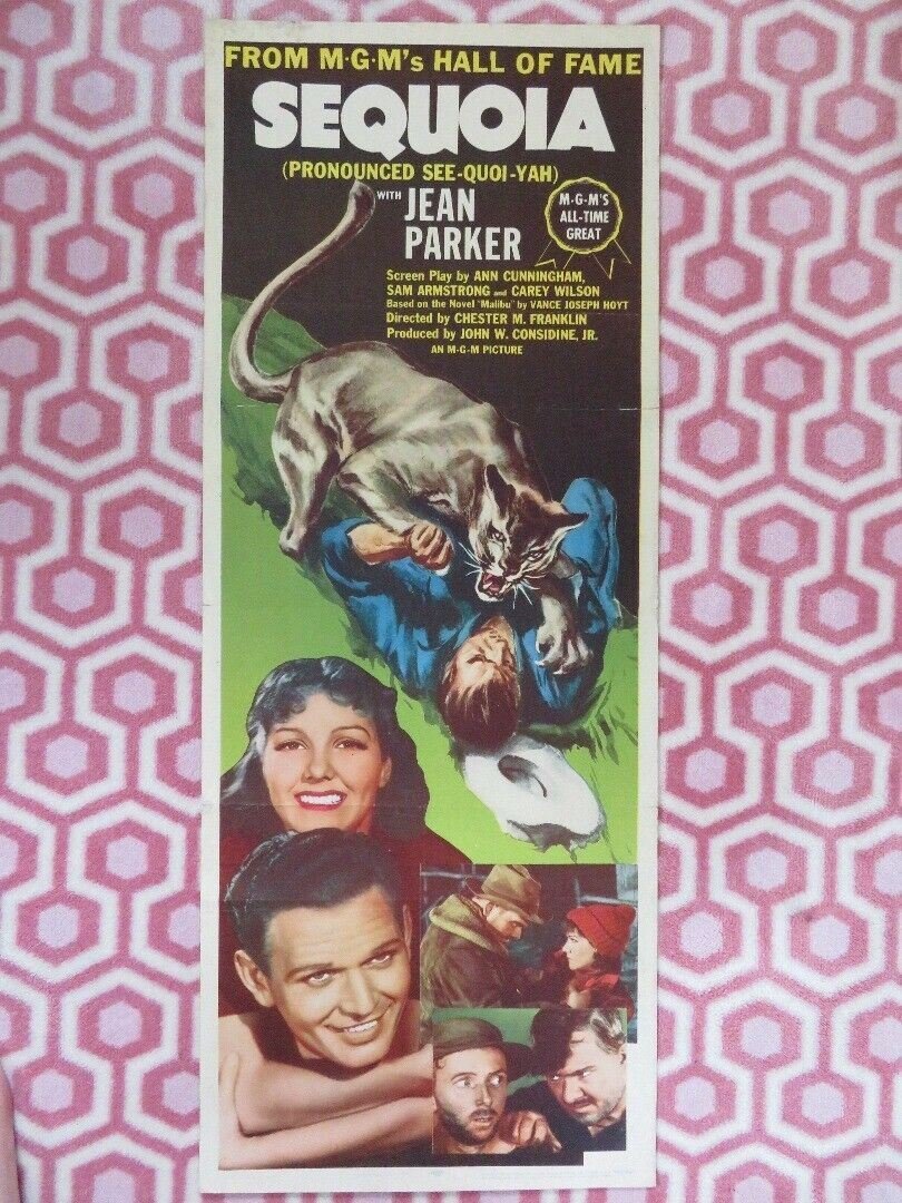 SEQUOIA US INSERT (14"x 36") POSTER JEAN PARKER 1934 R53/260 Movie posters