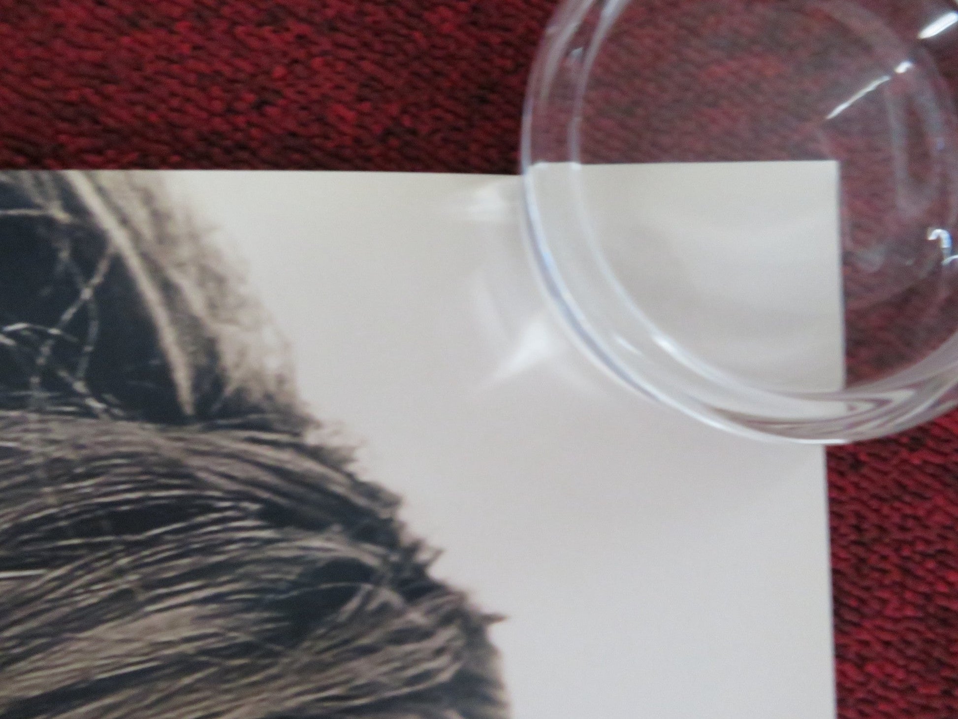 SERENITY US ONE SHEET ROLLED POSTER MATTHEW MCCONAUGHEY ANNE HATHAWAY 2019 Rendezvous Cinema Movie posters