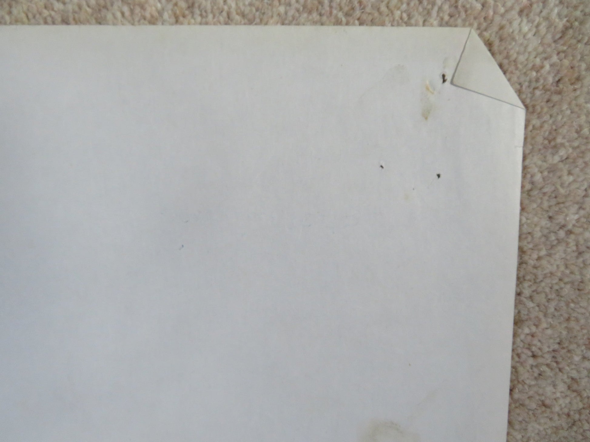 SEX IN THE HEAD ITALIAN 2 FOGLIO POSTER PILAR VELASQUEZ DIDI PEREGO 1974 Rendezvous Cinema Movie posters