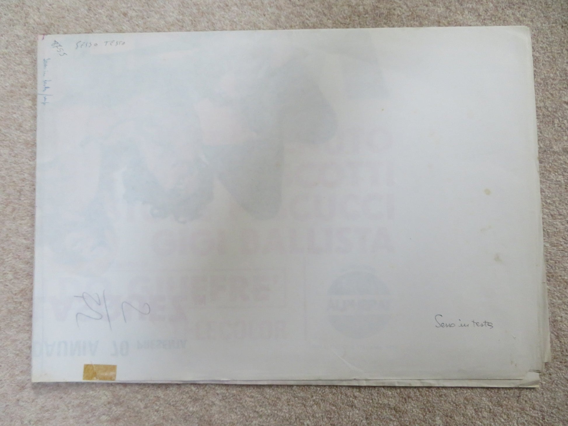 SEX IN THE HEAD ITALIAN 2 FOGLIO POSTER PILAR VELASQUEZ DIDI PEREGO 1974 Rendezvous Cinema Movie posters