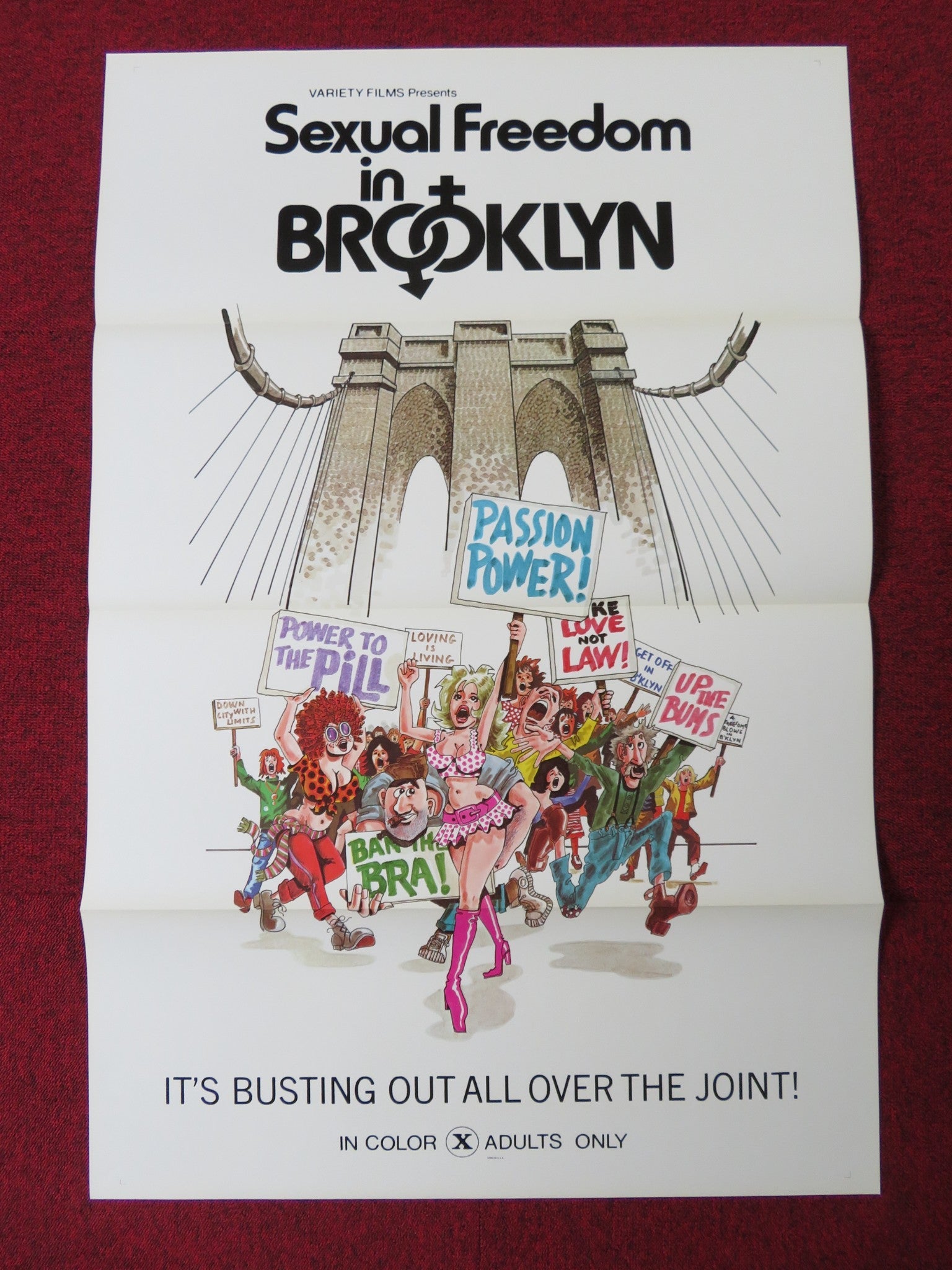 SEXUAL FREEDOM IN BROOKLYN US TRI FOLDED ONE SHEET ROLLED POSTER FLANAGAN 1975 Rendezvous Cinema Movie posters