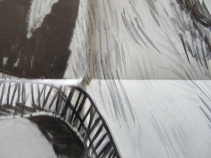 SHADOW OF THE HAWK FOLDED US ONE SHEET POSTER JAN MICHAEL VINCENT 1976 Movie posters