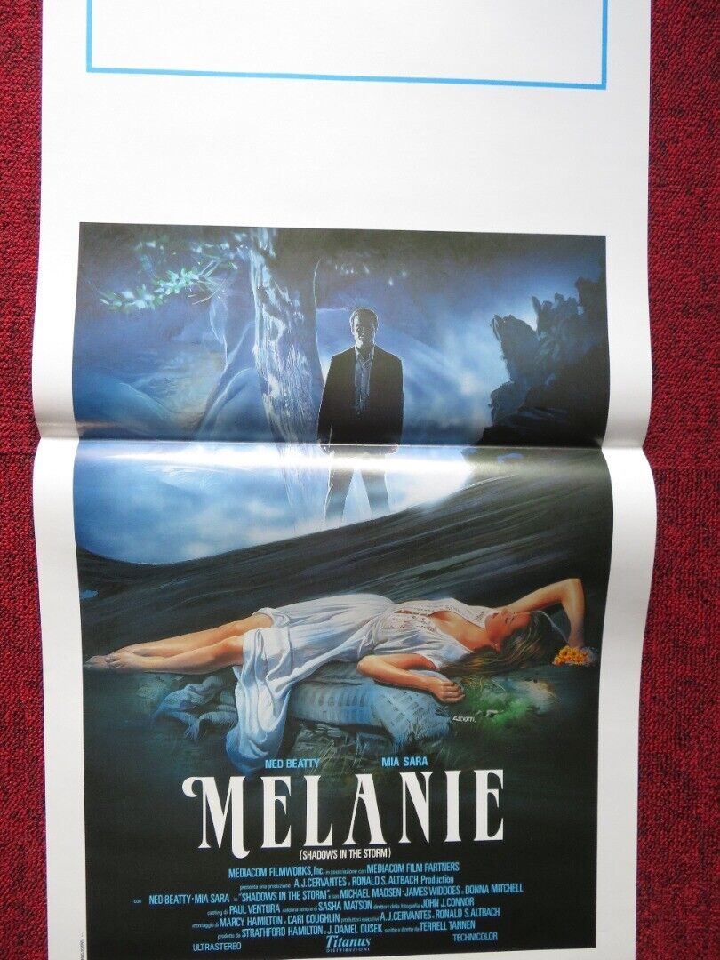 SHADOWS IN THE STORM ITALIAN LOCANDINA (27.5"x13") POSTER NED BEATTY 1988 Movie posters