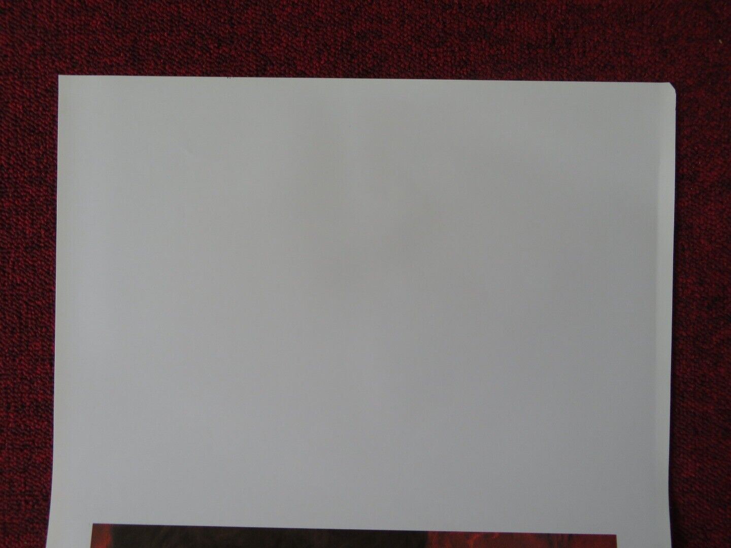 SHAKESPEARE IN LOVE ITALIAN LOCANDINA (27.5"x13") POSTER GWYNETH PALTROW 1998 Movie posters