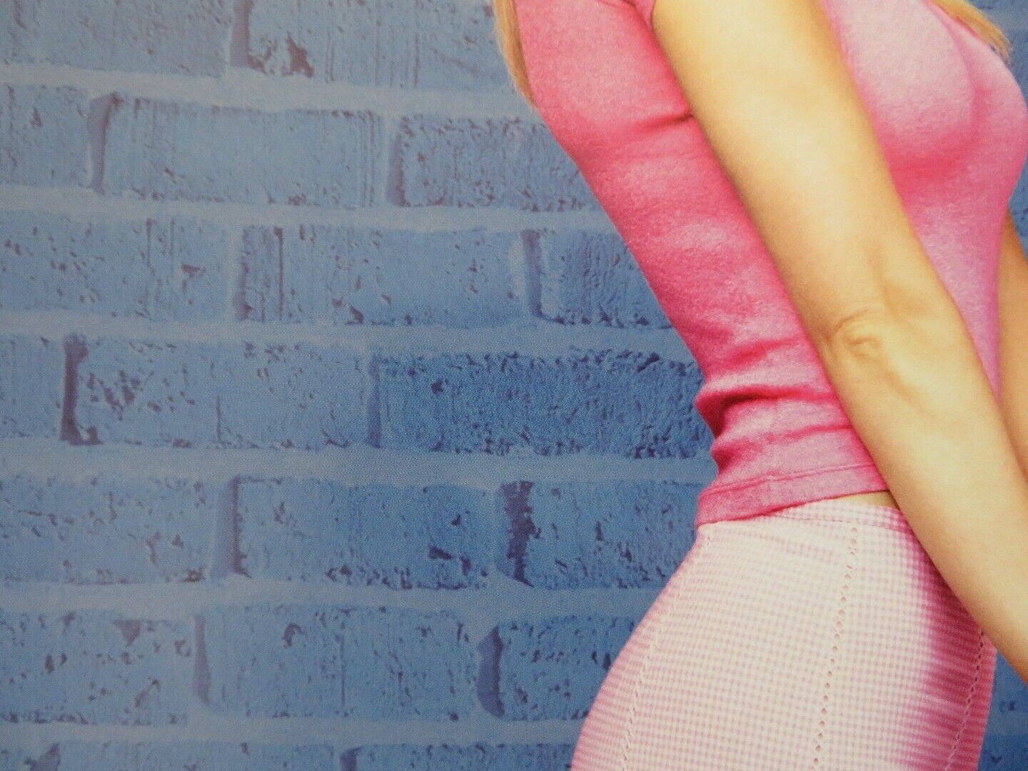 SHALLOW HALL - VERSION A US ONE SHEET ROLLED POSTER GWYNETH PALTROW 2001 Movie posters