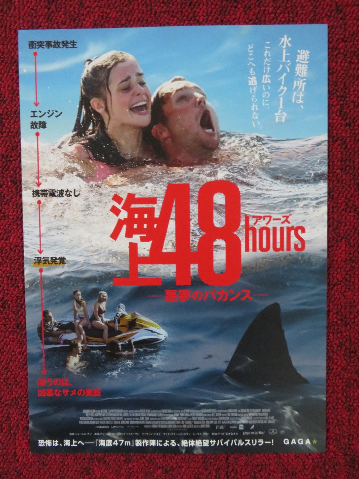 SHARK BAIT JAPANESE CHIRASHI (B5) POSTER HOLLY EARL JACK TRUEMAN 2022 Rendezvous Cinema Movie posters