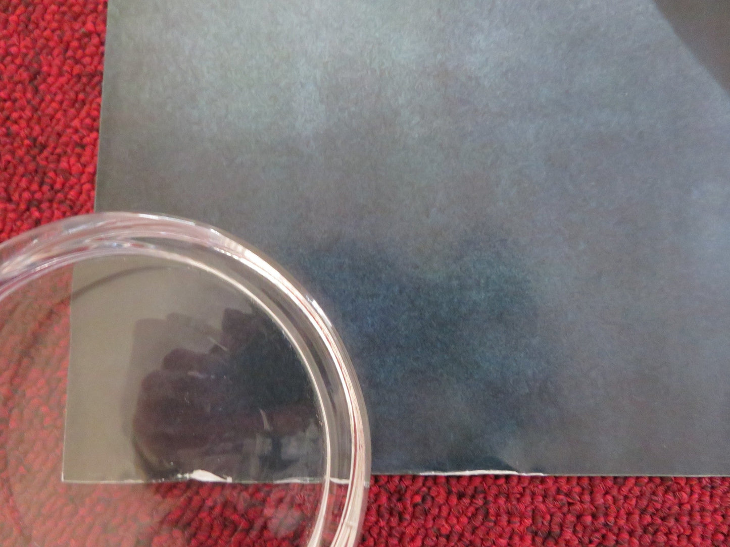 SHARK NIGHT UK QUAD ROLLED POSTER SARA PAXTON DUSTIN MILLIGAN 2011 Rendezvous Cinema Movie posters