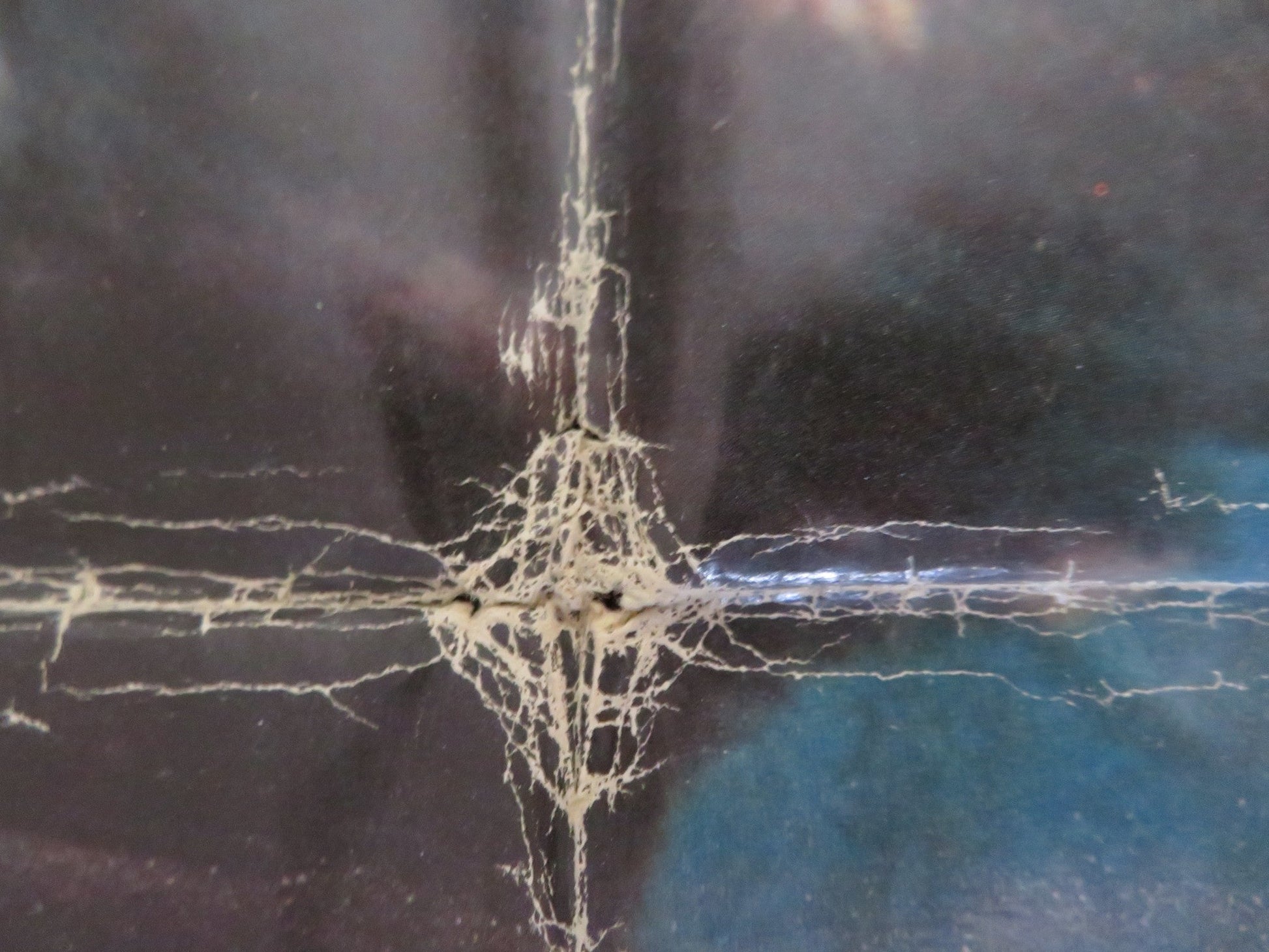 SHARKS' TREASURE - ADVANCE FOLDED US ONE SHEET POSTER CORNEL WILDE Y. KOTTO 1975 Rendezvous Cinema Movie posters