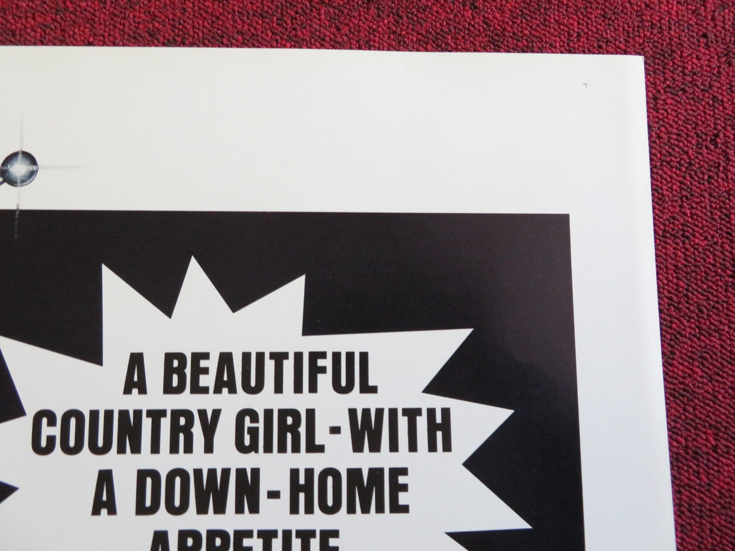 SHARON US TRI FOLDED ONE SHEET ROLLED POSTER JEAN JENNINGS SHARON SANDERS 1977 Rendezvous Cinema Movie posters