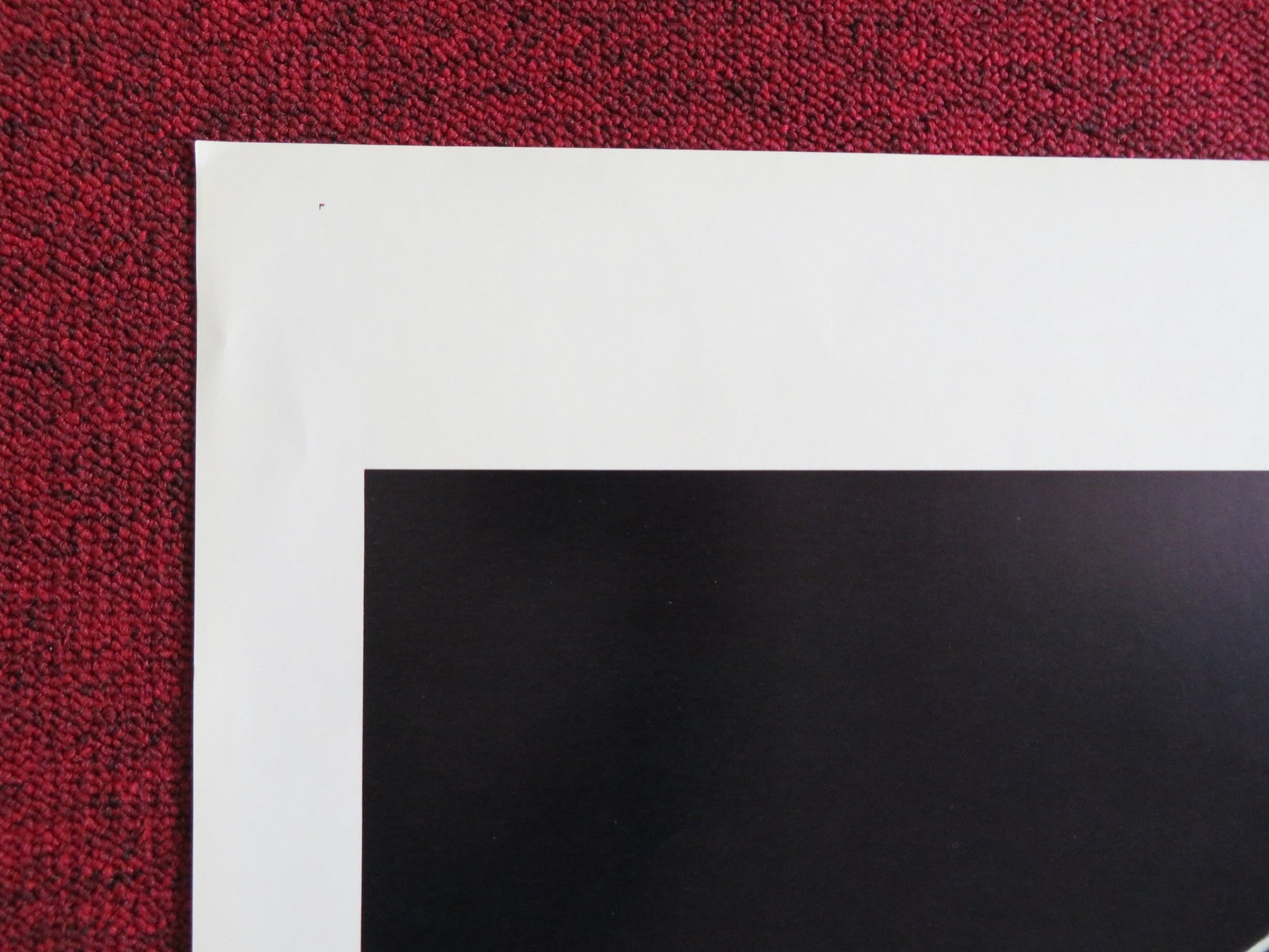 SHARON US TRI FOLDED ONE SHEET ROLLED POSTER JEAN JENNINGS SHARON SANDERS 1977 Rendezvous Cinema Movie posters