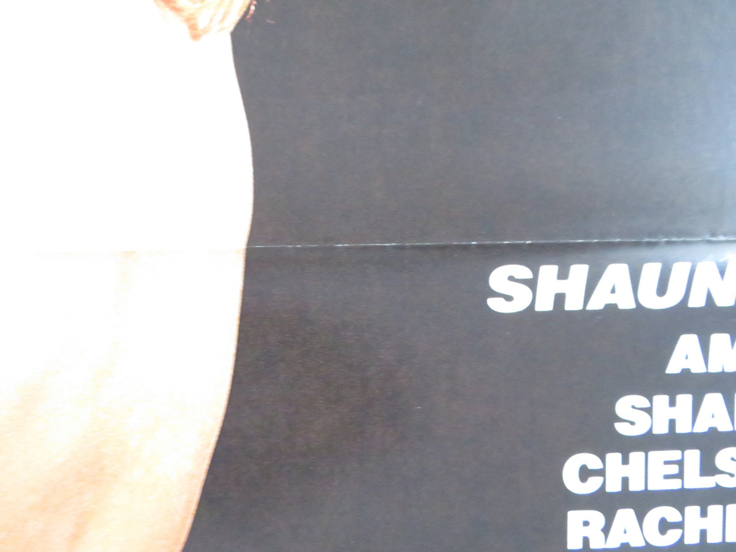 SHAUNA EVERY MAN'S FANTASY US TRI FOLDED ONE SHEET ROLLED POSTER R. ASHLEY 1985 Rendezvous Cinema Movie posters