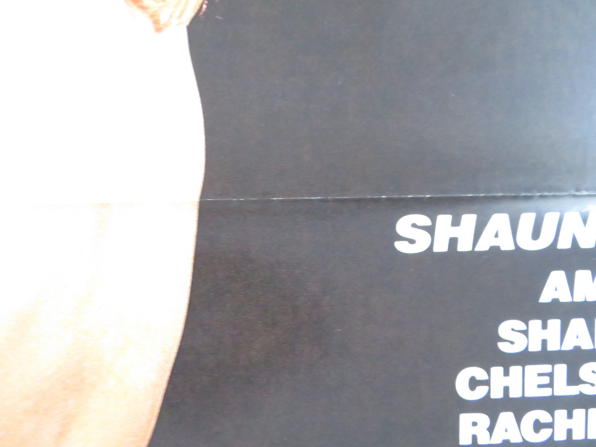 SHAUNA EVERY MAN'S FANTASY US TRI FOLDED ONE SHEET ROLLED POSTER R. ASHLEY 1985 Rendezvous Cinema Movie posters