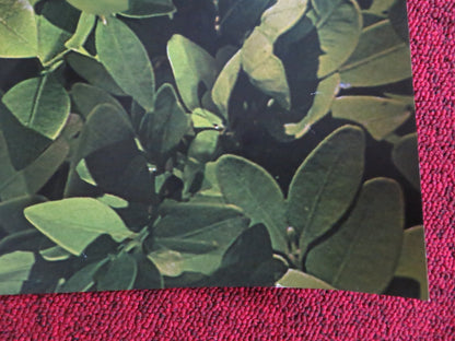 SHERLOCK GNOMES UK QUAD (30"x 40") ROLLED POSTER EMILY BLUNT MICHAEL CAINE 2018 Rendezvous Cinema Movie posters