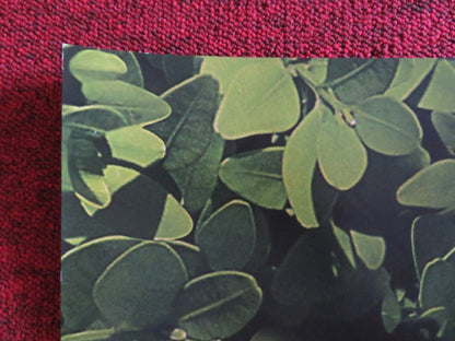 SHERLOCK GNOMES UK QUAD (30"x 40") ROLLED POSTER EMILY BLUNT MICHAEL CAINE 2018 Rendezvous Cinema Movie posters