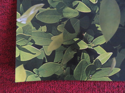 SHERLOCK GNOMES UK QUAD (30"x 40") ROLLED POSTER EMILY BLUNT MICHAEL CAINE 2018 Rendezvous Cinema Movie posters