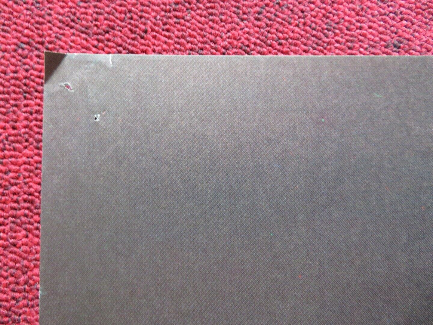 SHE'S 19 AND READY SPANISH ROLLED POSTER EKKEHARDT BELLE SABINE WOLLIN 1979 Movie posters