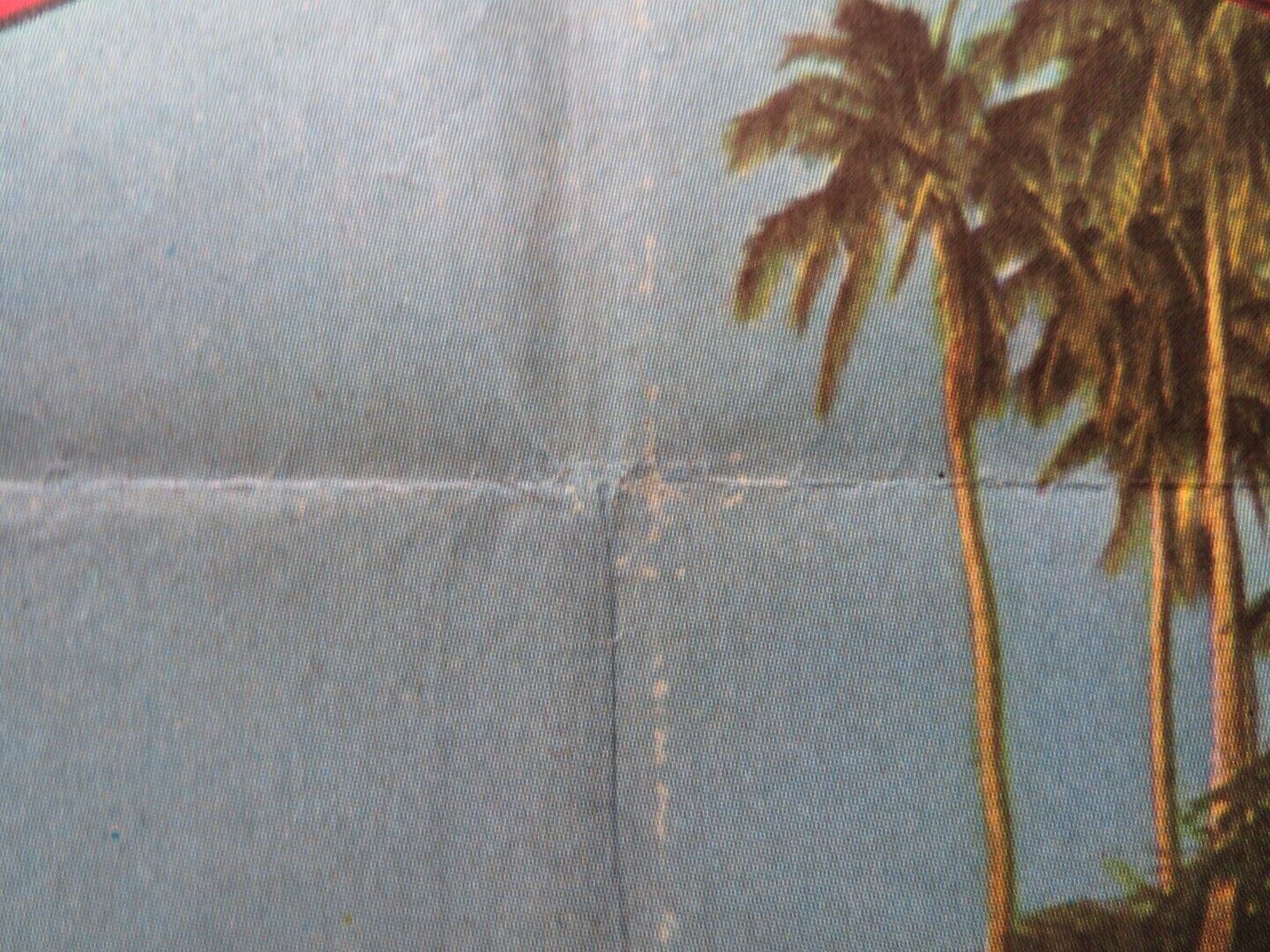 SHE'S 19 AND READY SPANISH ROLLED POSTER EKKEHARDT BELLE SABINE WOLLIN 1979 Movie posters