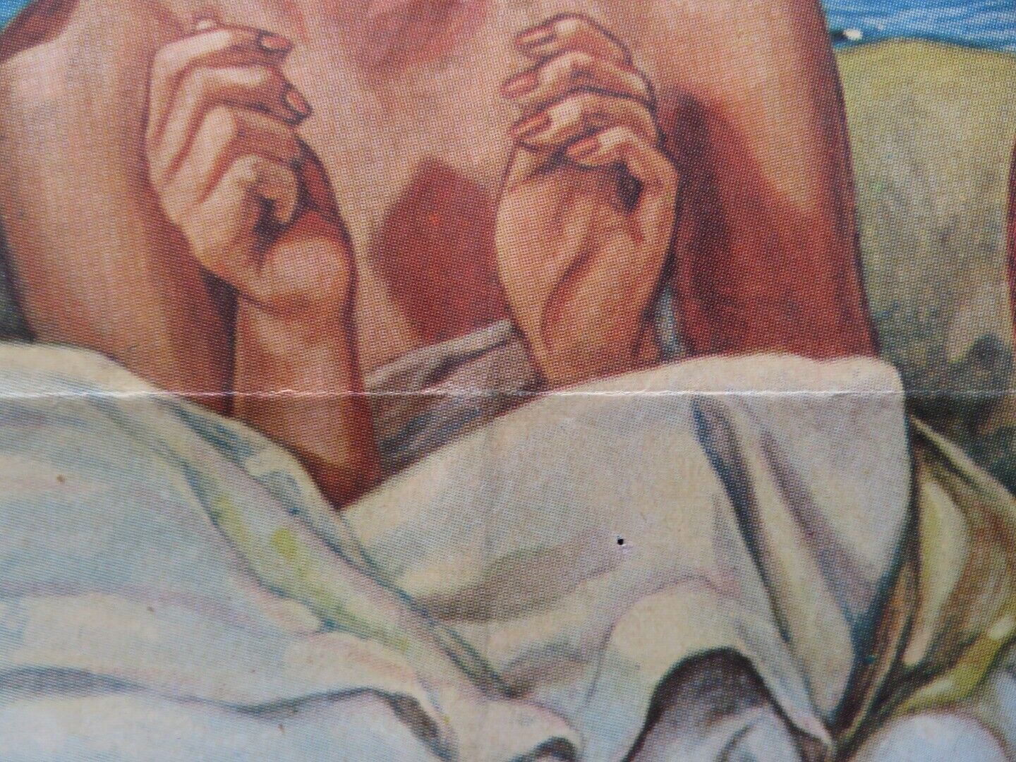 SHE'S 19 AND READY SPANISH ROLLED POSTER EKKEHARDT BELLE SABINE WOLLIN 1979 Movie posters