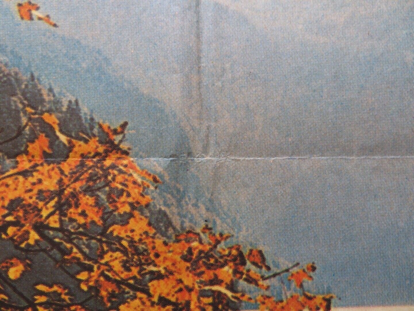 SHE'S 19 AND READY SPANISH ROLLED POSTER EKKEHARDT BELLE SABINE WOLLIN 1979 Movie posters