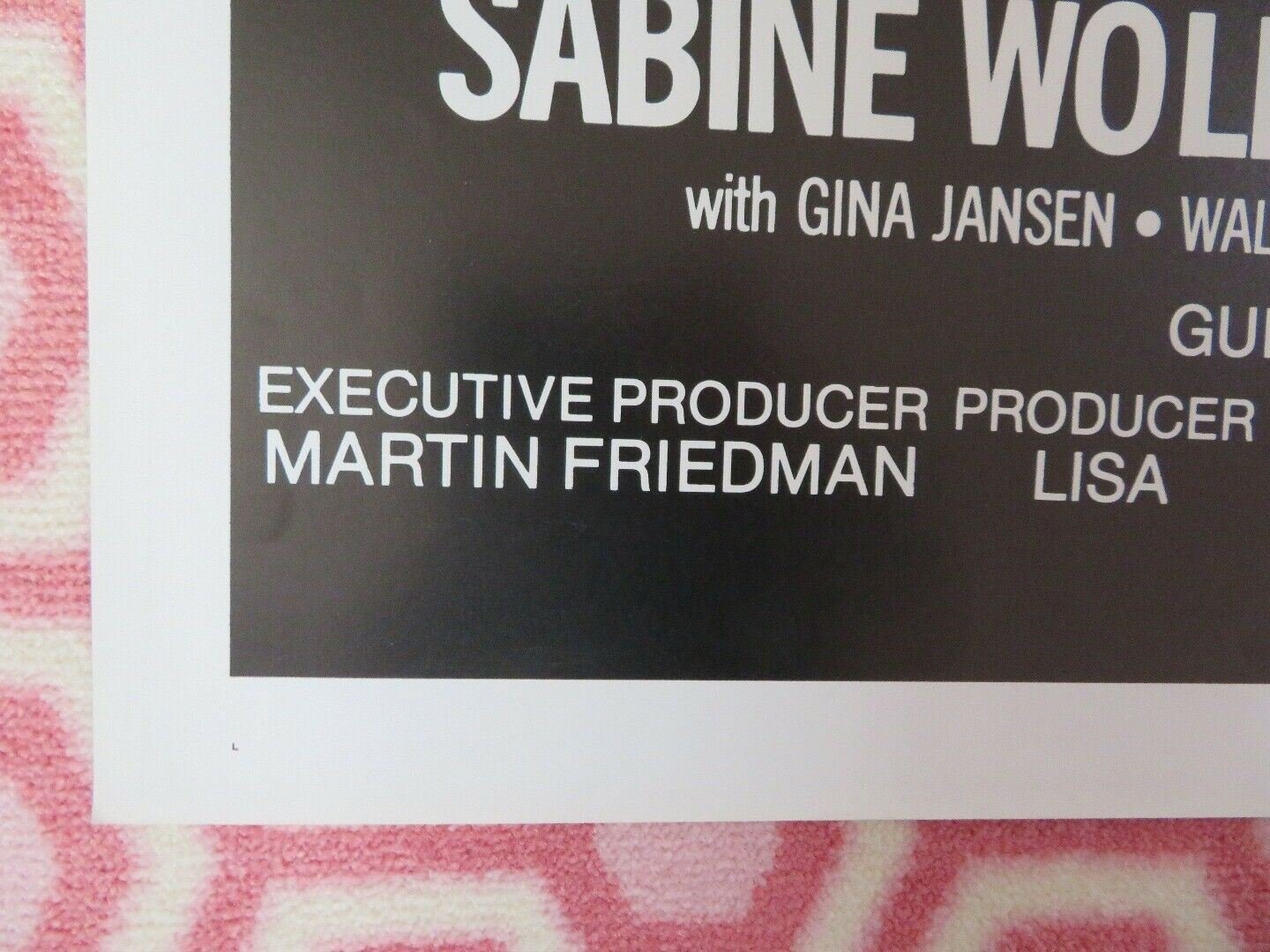 SHE'S 19 AND READY US ONE SHEET POSTER SABINE WOOLIN CLAUS FIELD 1980 Movie posters