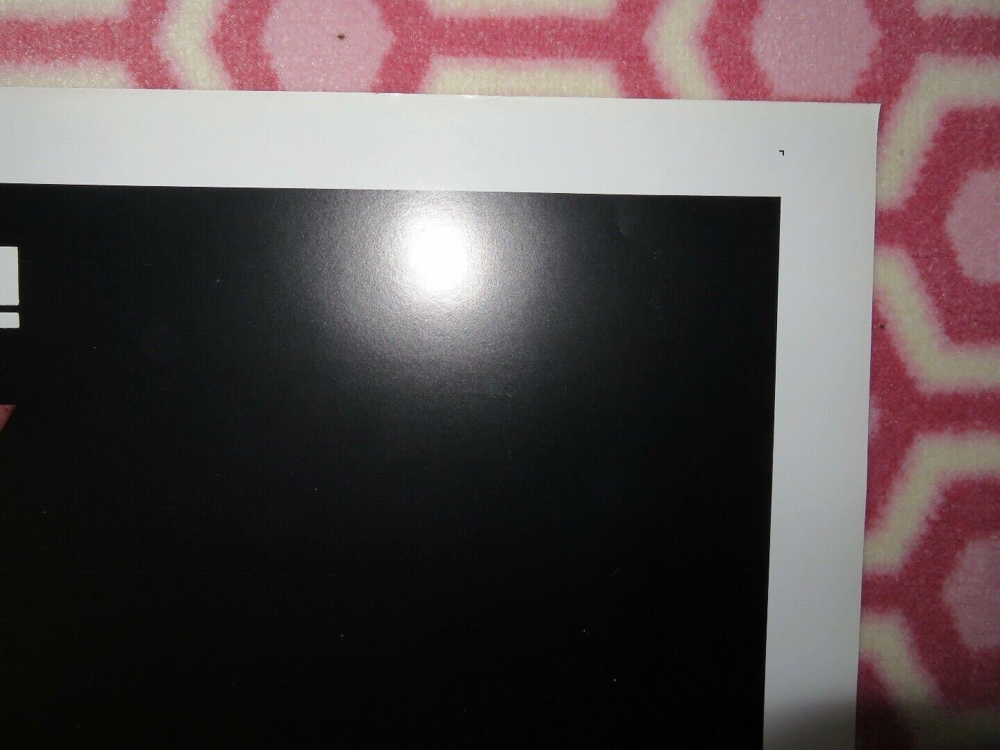 SHE'S 19 AND READY US ONE SHEET POSTER SABINE WOOLIN CLAUS FIELD 1980 Movie posters