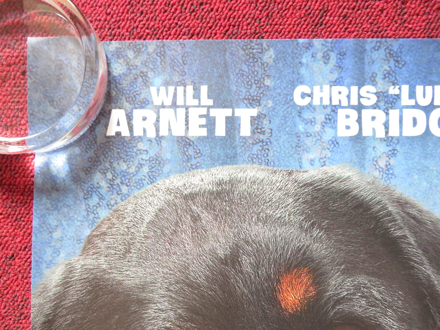 SHOW DOGS UK QUAD (30"x 40") ROLLED POSTER WILL ARNETT LUDACRIS 2018 Rendezvous Cinema Movie posters