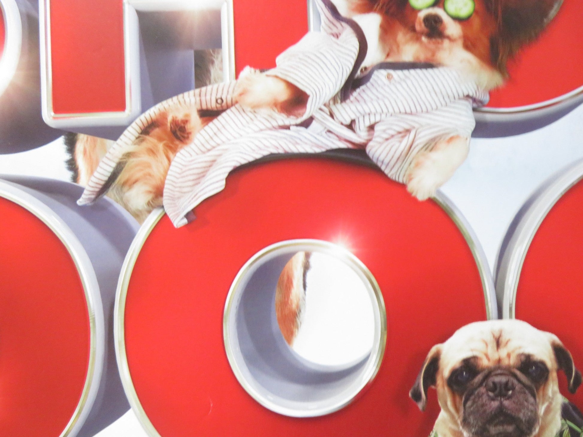 SHOW DOGS UK QUAD (30"x 40") ROLLED POSTER WILL ARNETT LUDACRIS 2018 Rendezvous Cinema Movie posters