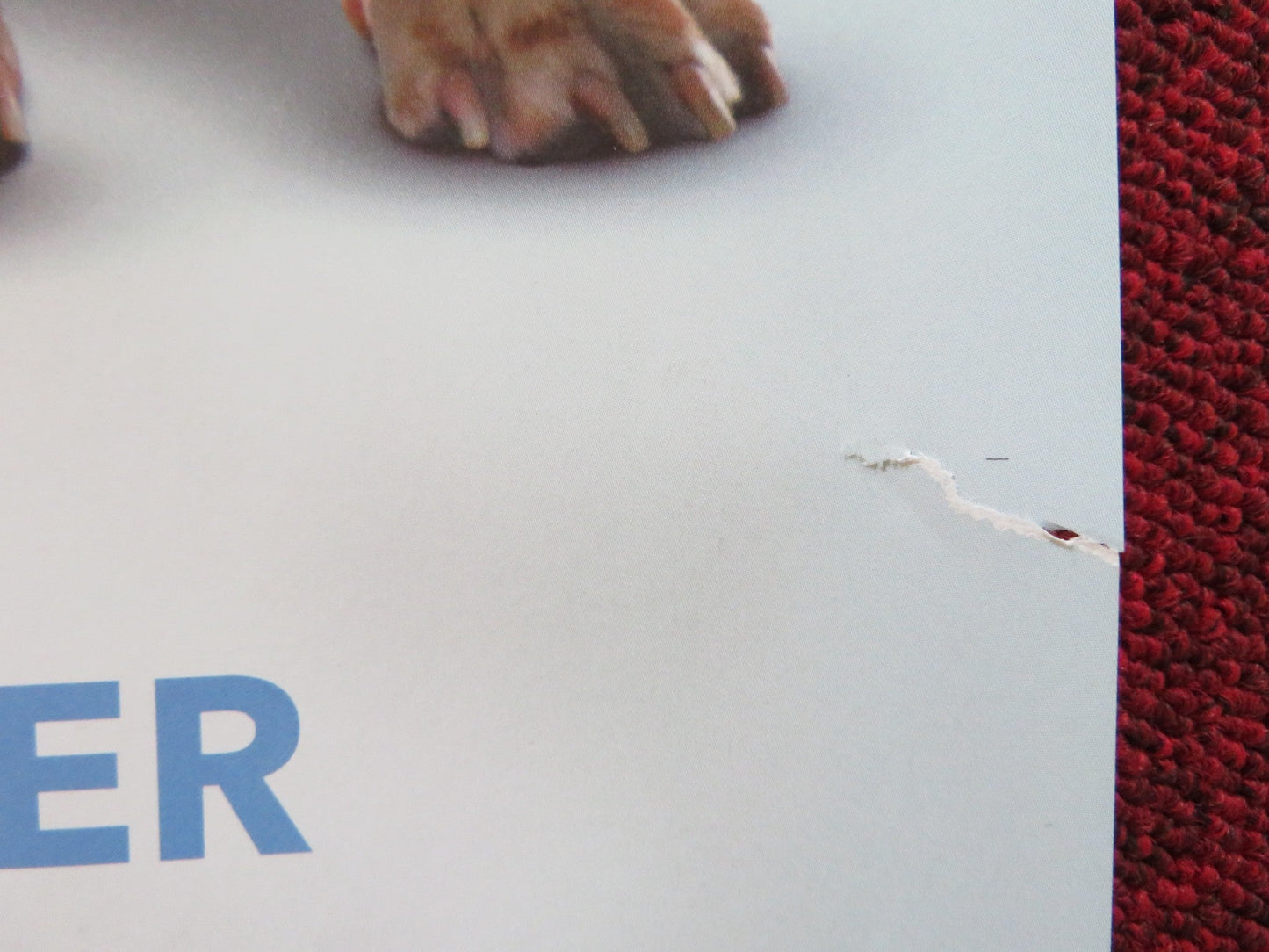 SHOW DOGS UK QUAD (30"x 40") ROLLED POSTER WILL ARNETT LUDACRIS 2018 Rendezvous Cinema Movie posters