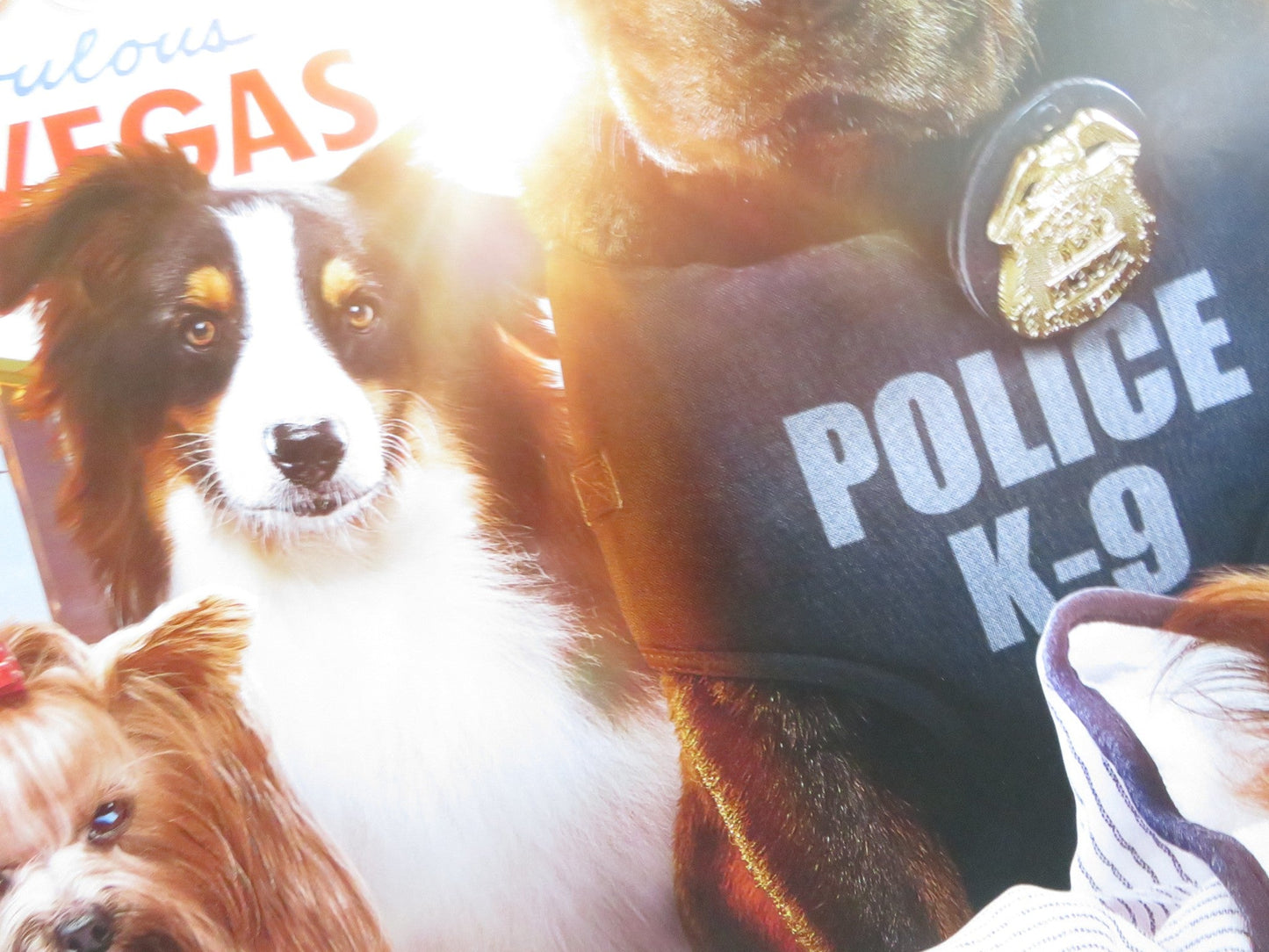 SHOW DOGS US ONE SHEET ROLLED POSTER WILL ARNETT NATASHA LYONNE 2018 Rendezvous Cinema Movie posters