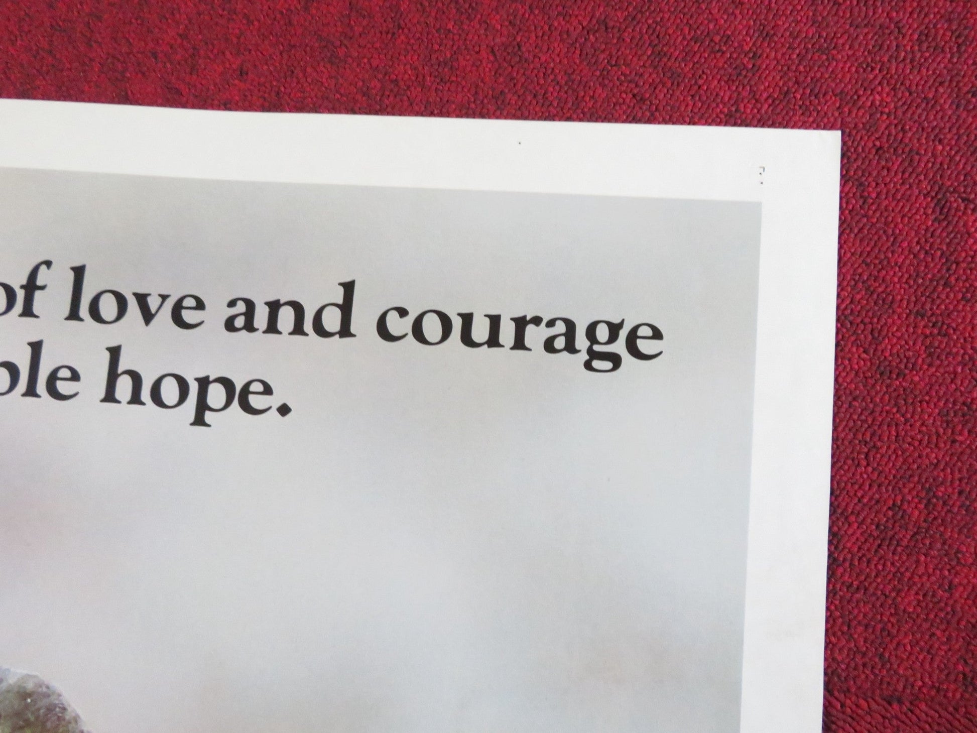 SILENCE OF THE NORTH FOLDED US ONE SHEET POSTER ELLEN BURSTYN TOM SKERRITT 1981 Rendezvous Cinema Movie posters