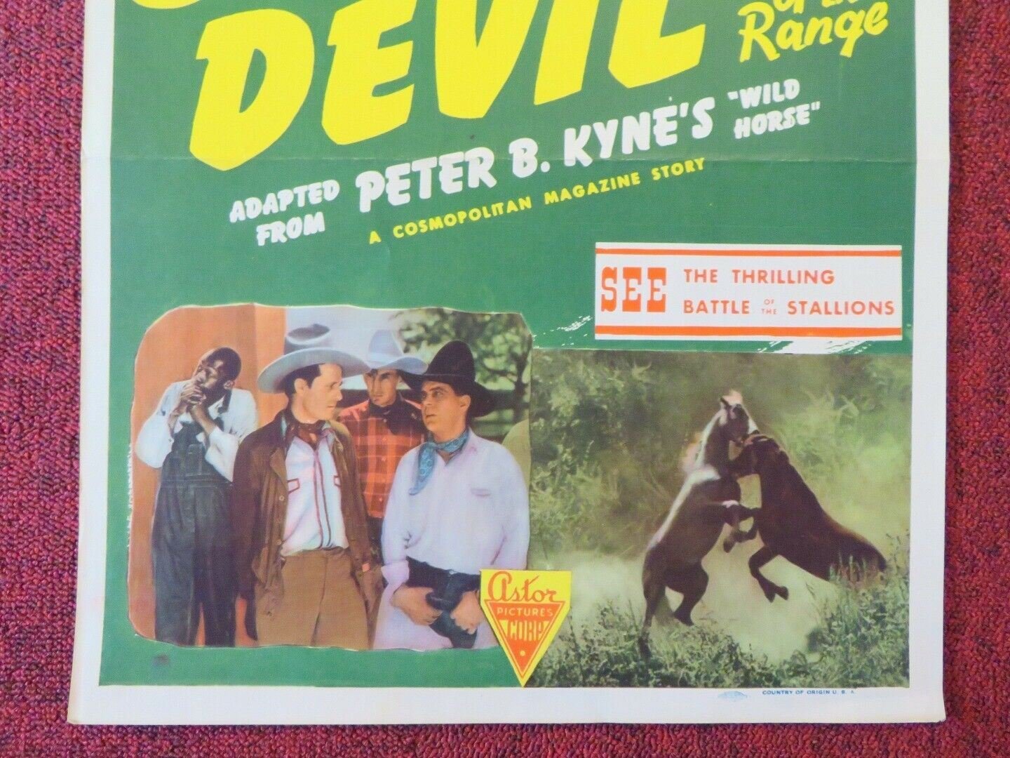 SILVER DEVIL / WILD HORSE US INSERT (14"x 36") POSTER HOOT GIBSON 1931 Movie posters