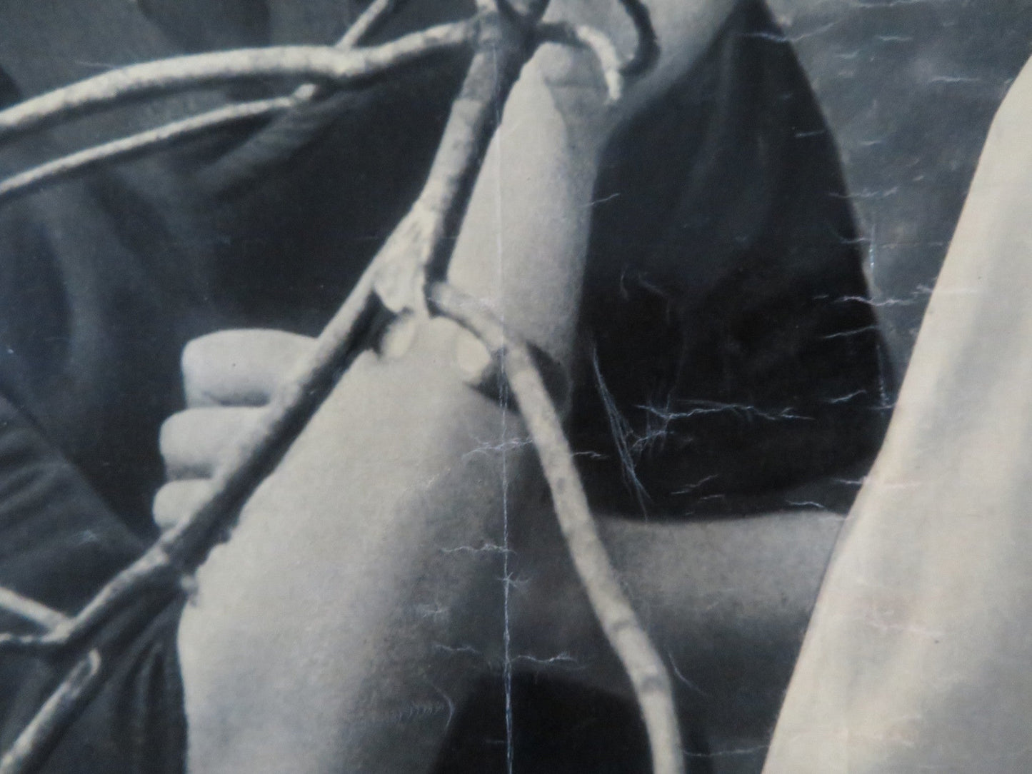 SITUATION HOPELESS - BUT NOT SERIOUS - A ITALIAN FOTOBUSTA POSTER GUINNESS 1965 Rendezvous Cinema Movie posters