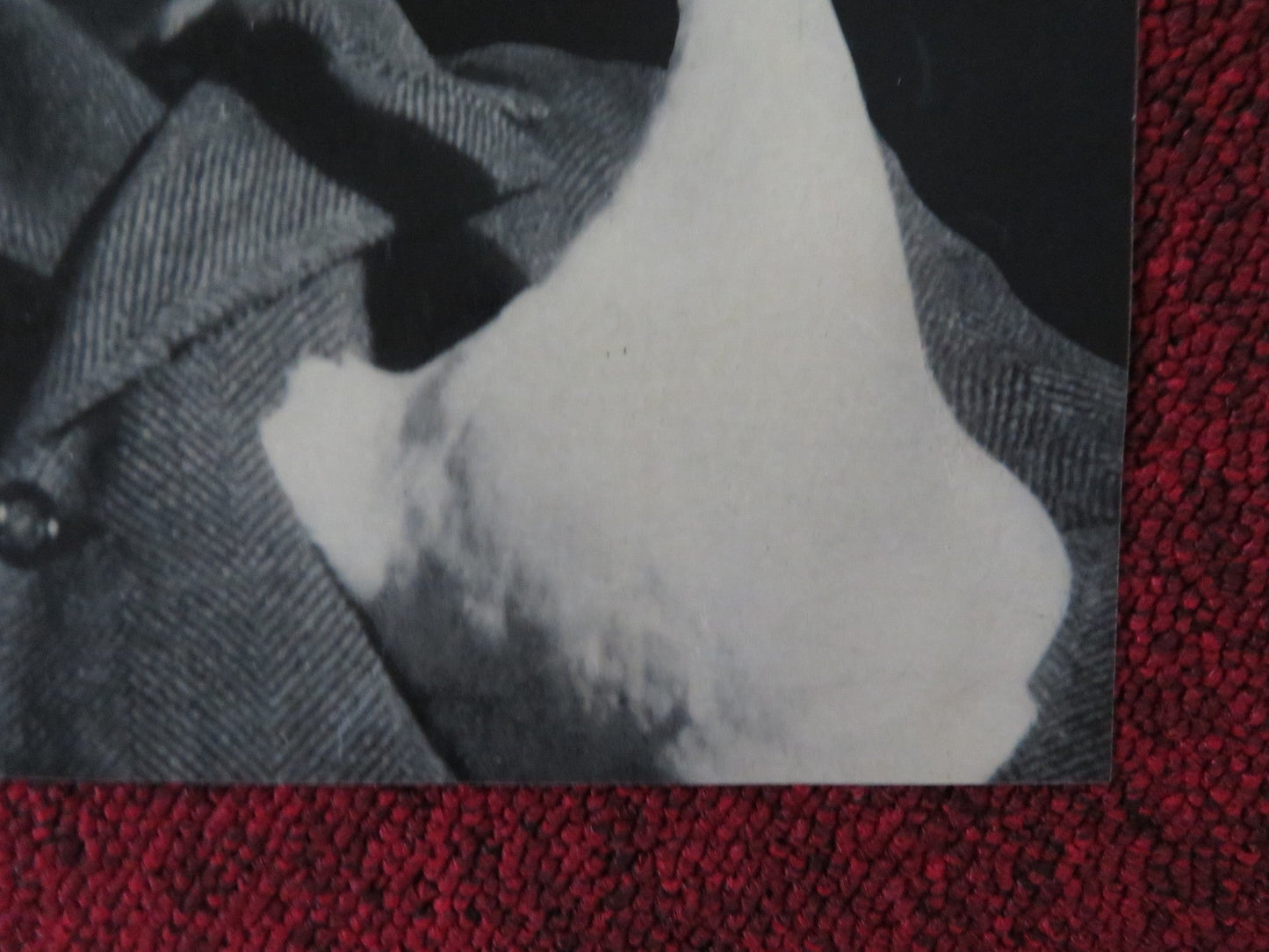 SITUATION HOPELESS - BUT NOT SERIOUS - B ITALIAN FOTOBUSTA POSTER GUINNESS 1965 Rendezvous Cinema Movie posters