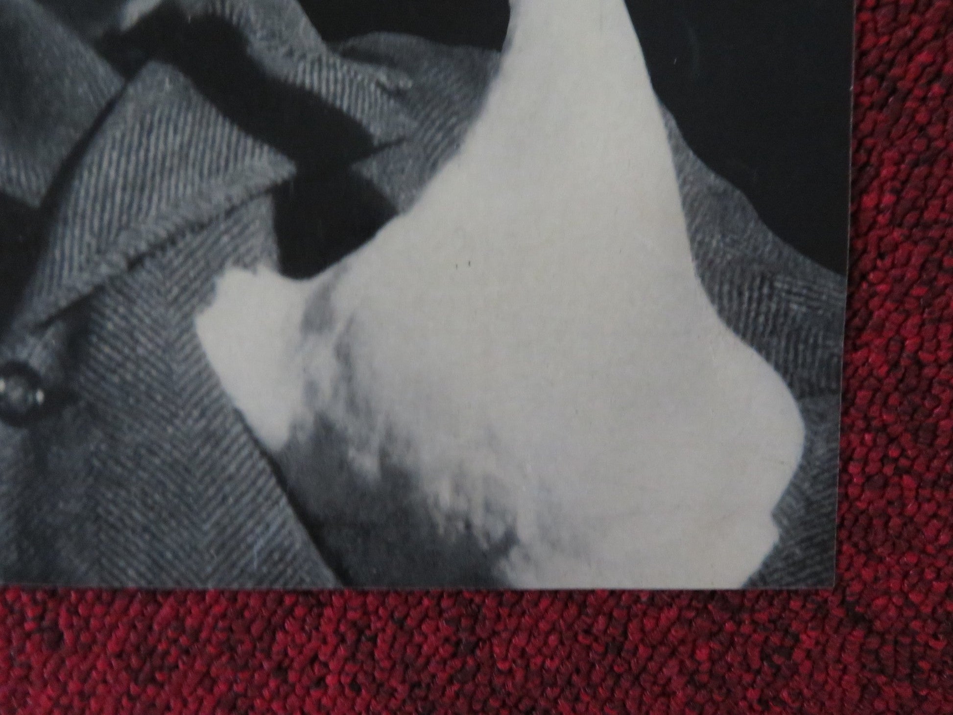 SITUATION HOPELESS - BUT NOT SERIOUS - B ITALIAN FOTOBUSTA POSTER GUINNESS 1965 Rendezvous Cinema Movie posters