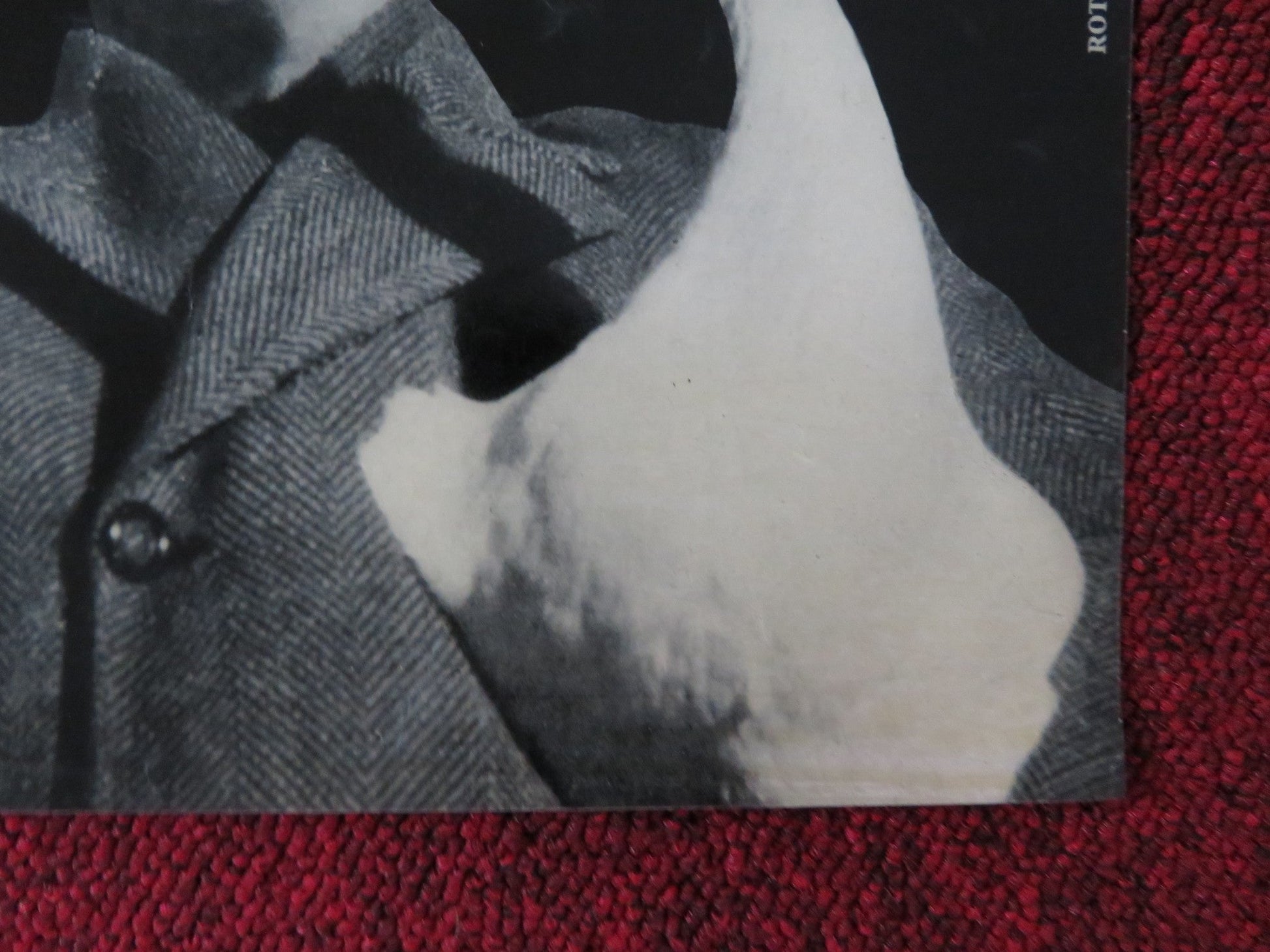 SITUATION HOPELESS - BUT NOT SERIOUS - F ITALIAN FOTOBUSTA POSTER REDFORD 1965 Rendezvous Cinema Movie posters