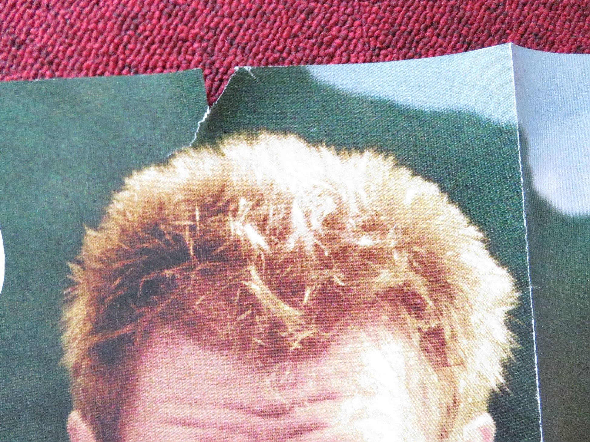 SIX DAYS SEVEN NIGHTS UK QUAD (30"x 40") ROLLED POSTER HARRISON FORD HECHE 1998 Rendezvous Cinema Movie posters