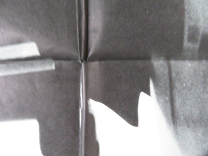 SKYJACKED FOLDED US ONE SHEET POSTER CHARLTON HESTON YVETTE MIMIEUX 1972 Rendezvous Cinema Movie posters